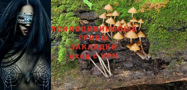 винт Володарск