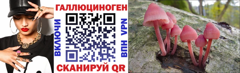 купить   Каргат  MEGA маркетплейс  Псилоцибиновые грибы MAGIC MUSHROOMS 
